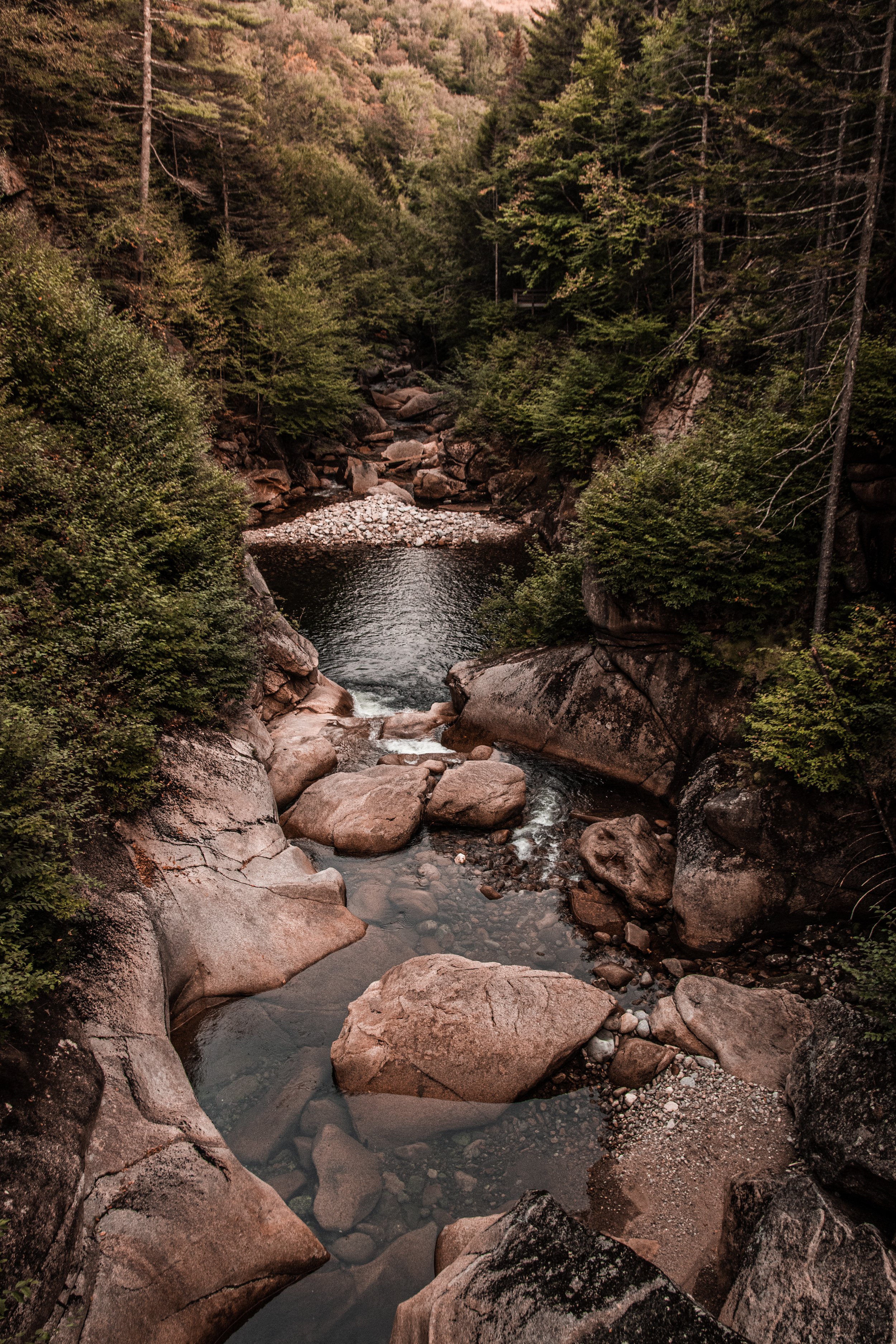 A rocky stream flows through a forested area with lush green trees and large boulders.