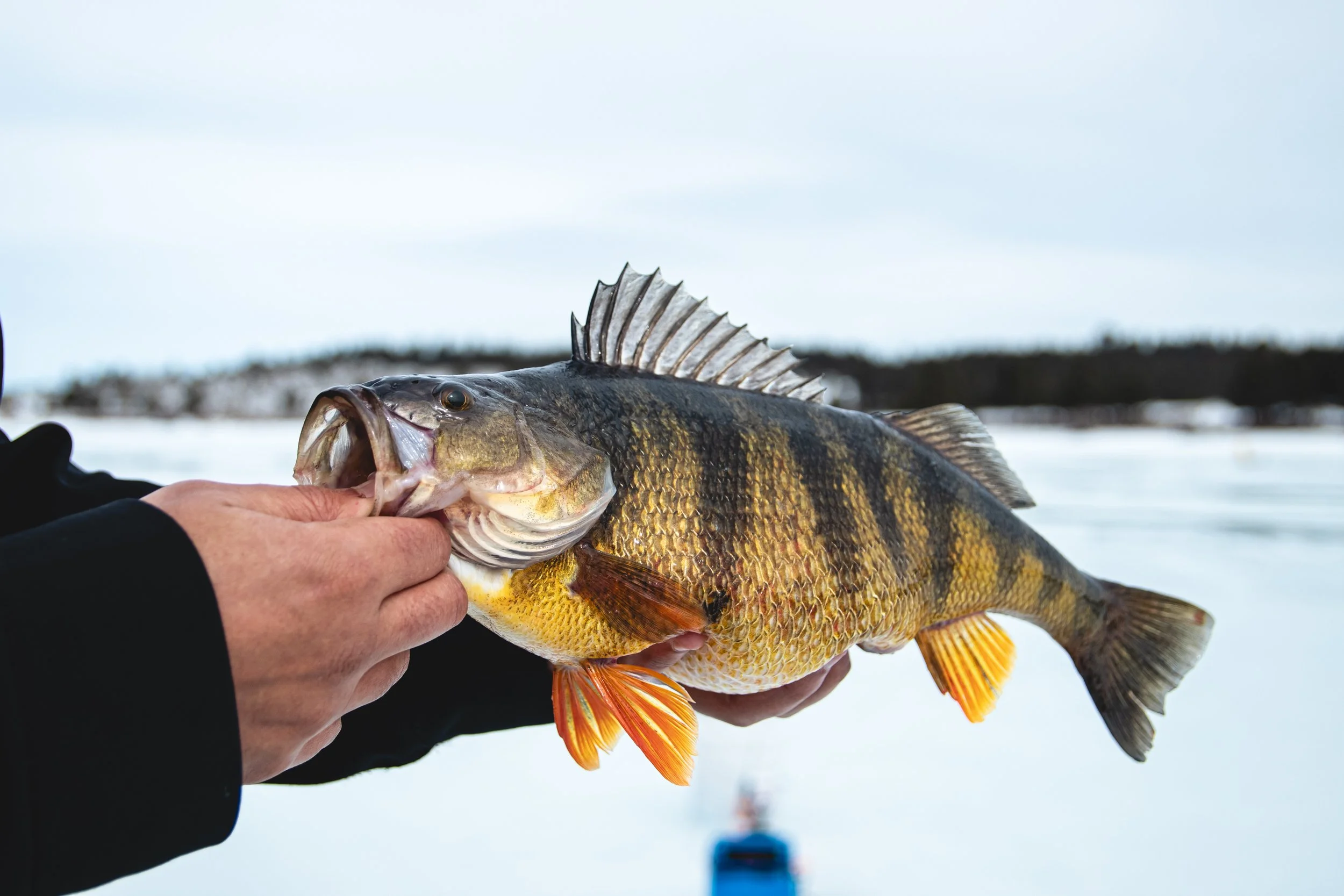 3-6-20 Ice Fishing-2.jpg