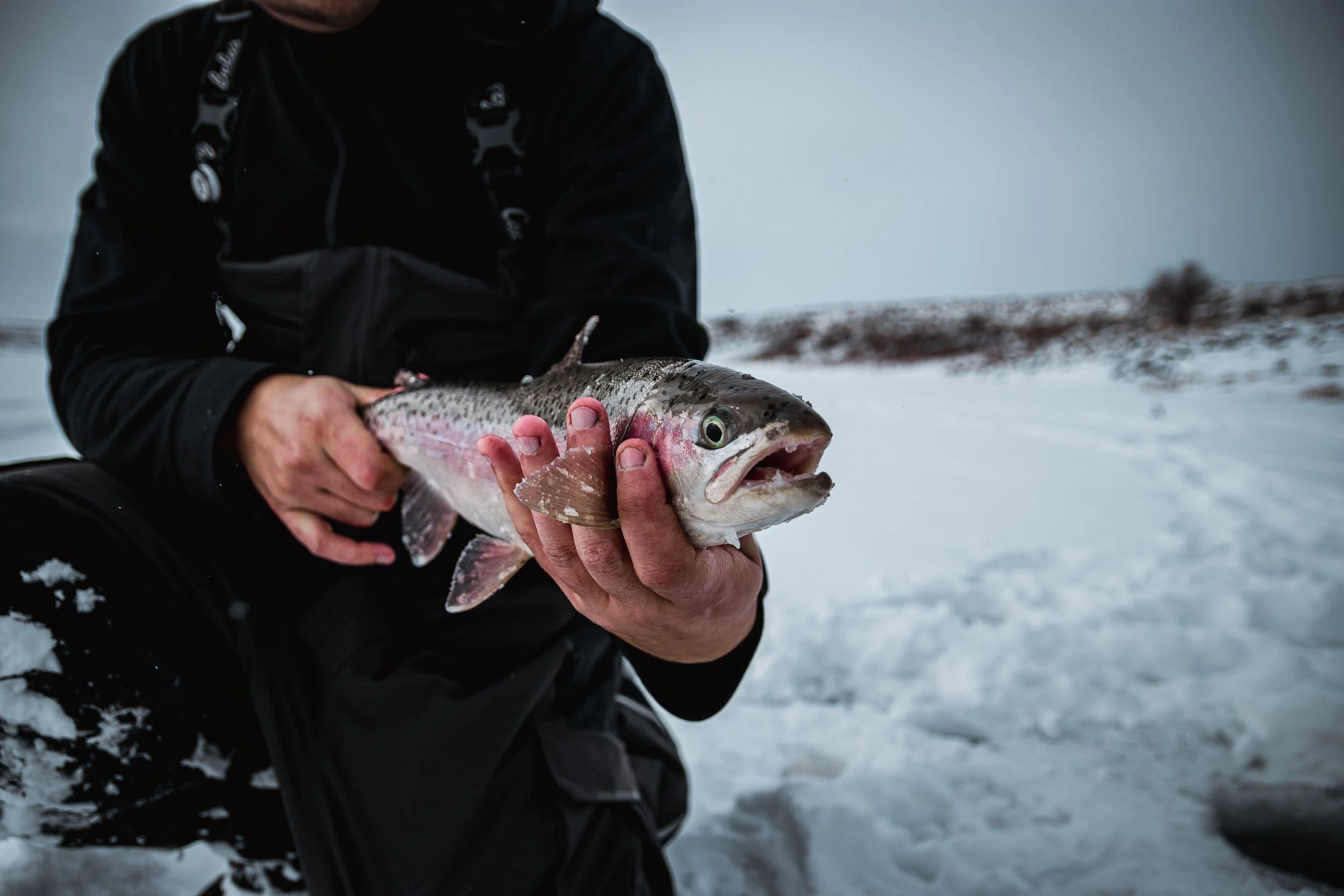Ice Fishing-33.jpg