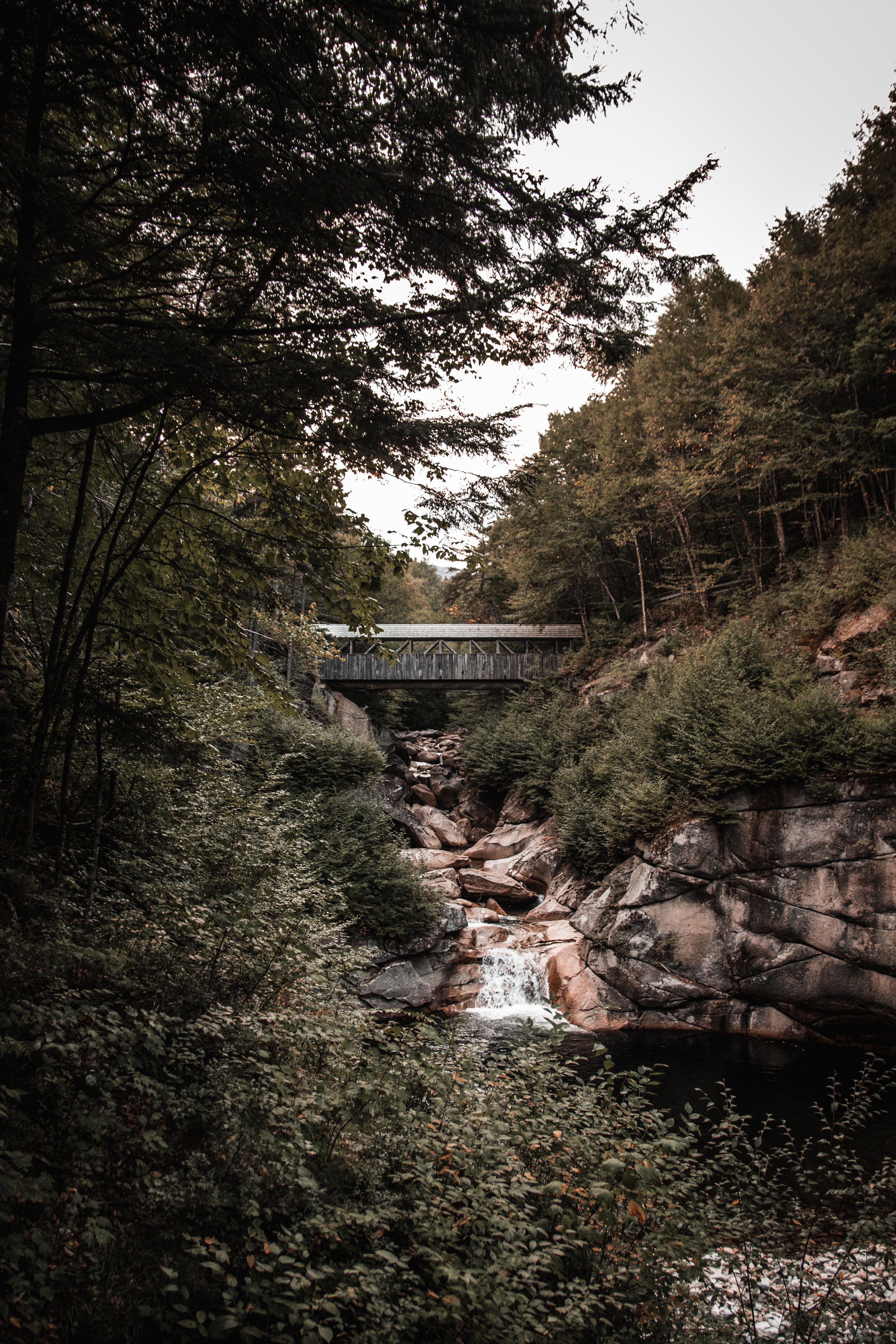 Forest scene with a wooden bridge, rocky waterfall, and lush greenery.