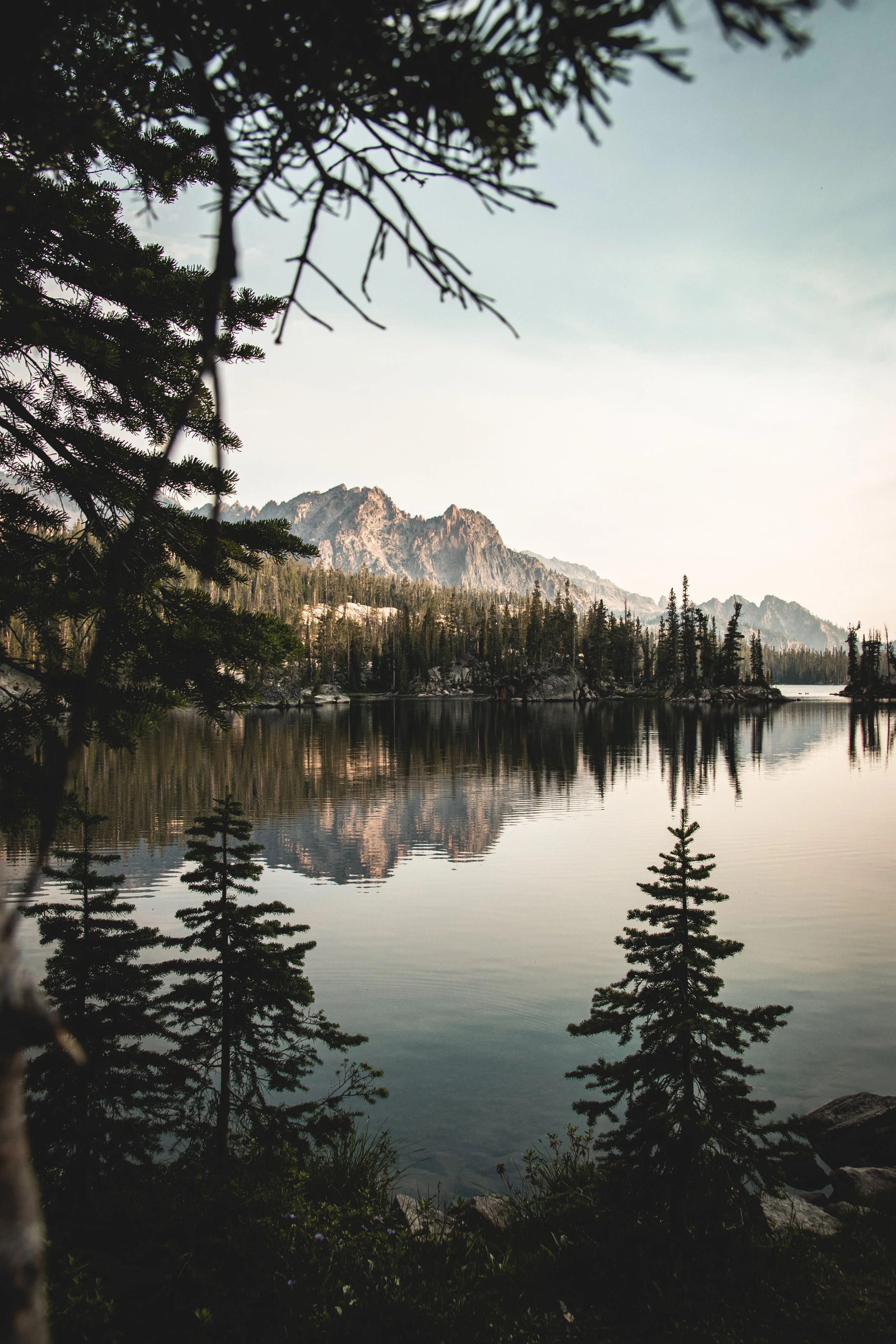 Mountain landscape with a calm lake reflecting the jagged peaks and surrounded by evergreen trees, viewed through branches in the foreground.
