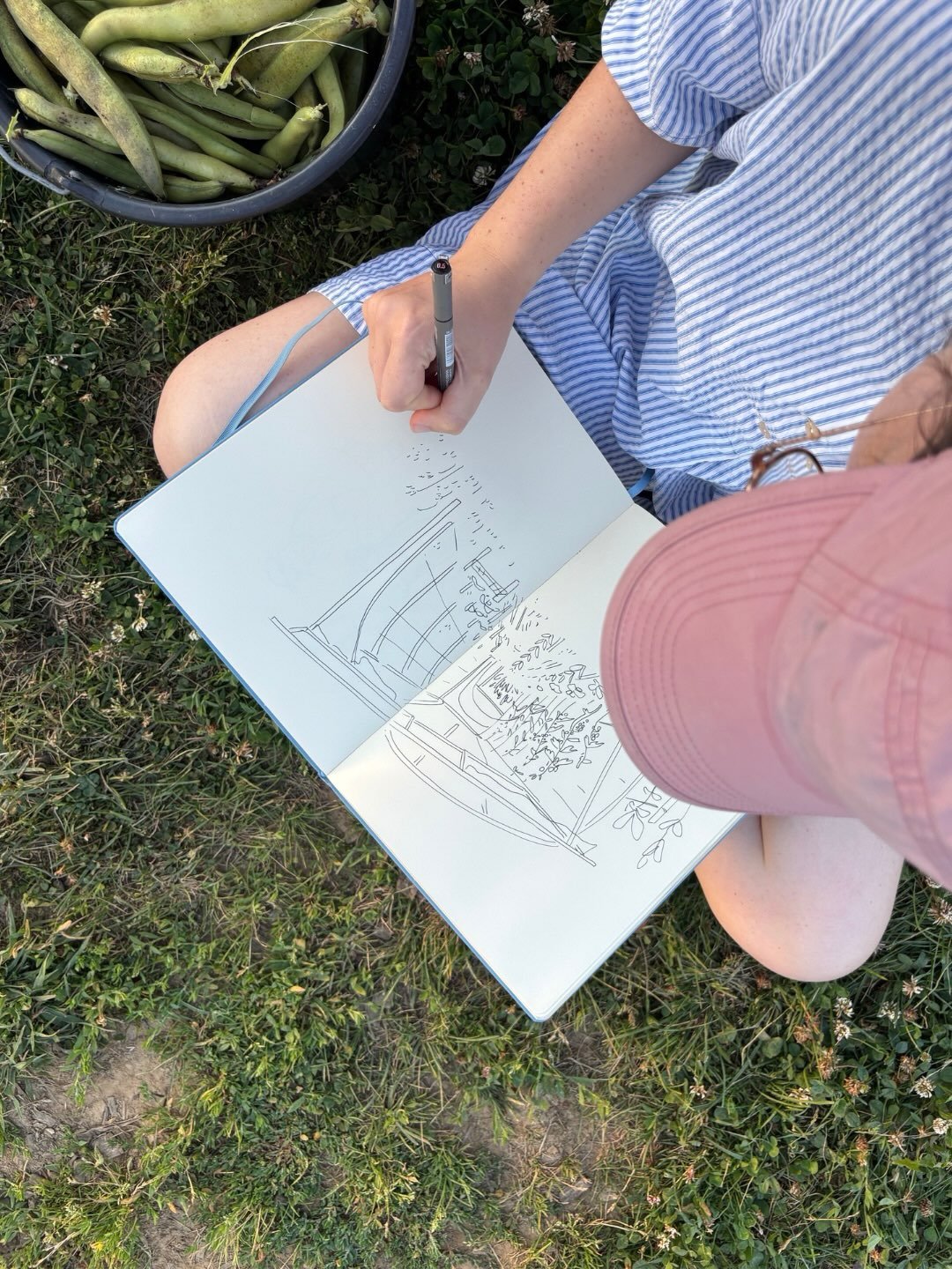 Zin om je vuile schoenen aan te trekken en te gaan tekenen tussen de bonenstruiken en tomatenplanten? 🙌🫘📝