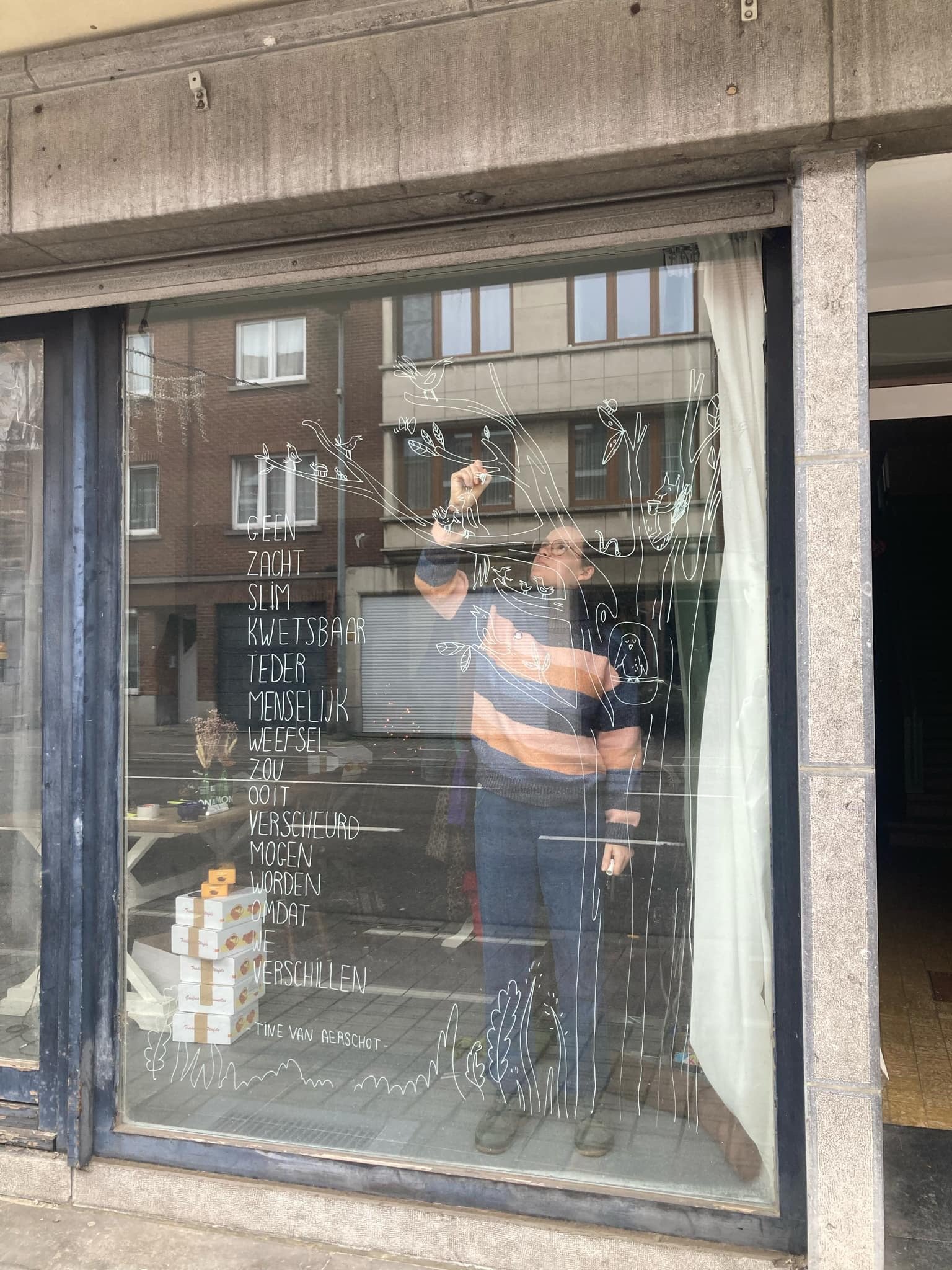 A store window with white drawings of plants and birds on it. 