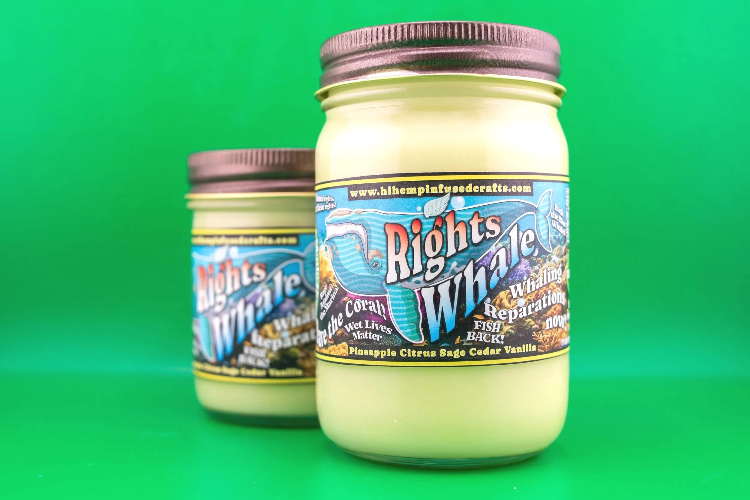 Rights+Whale1.jpg