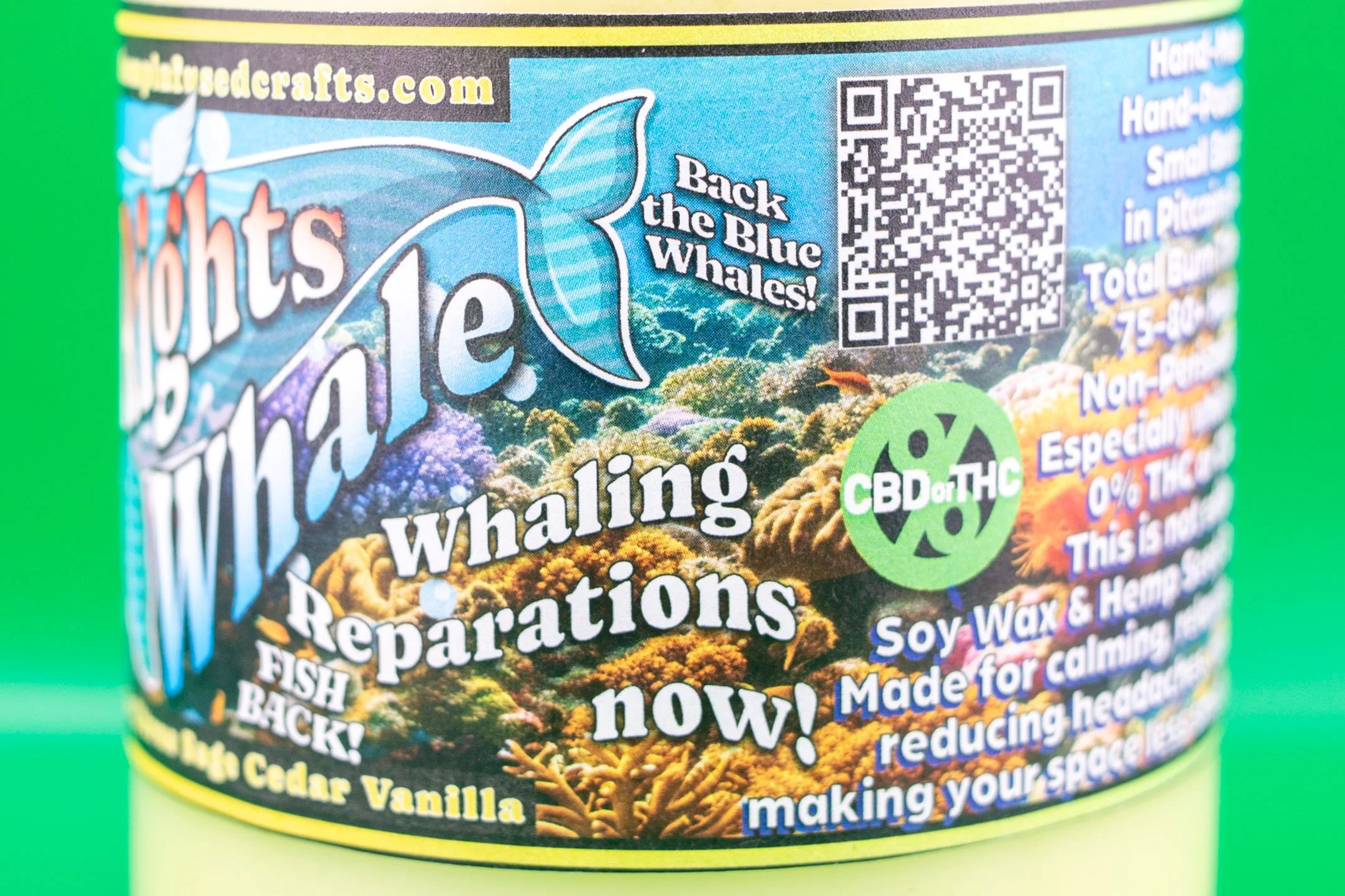 Rights Whale3.jpg