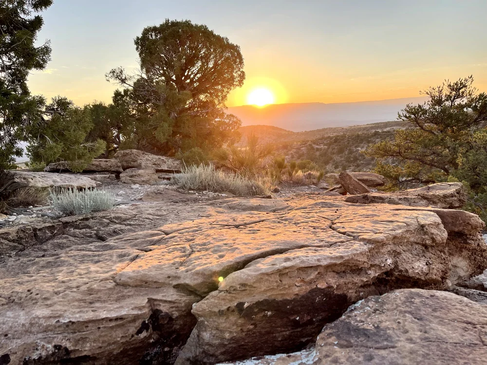 FRUITA FAT TIRE FESTIVAL 2024