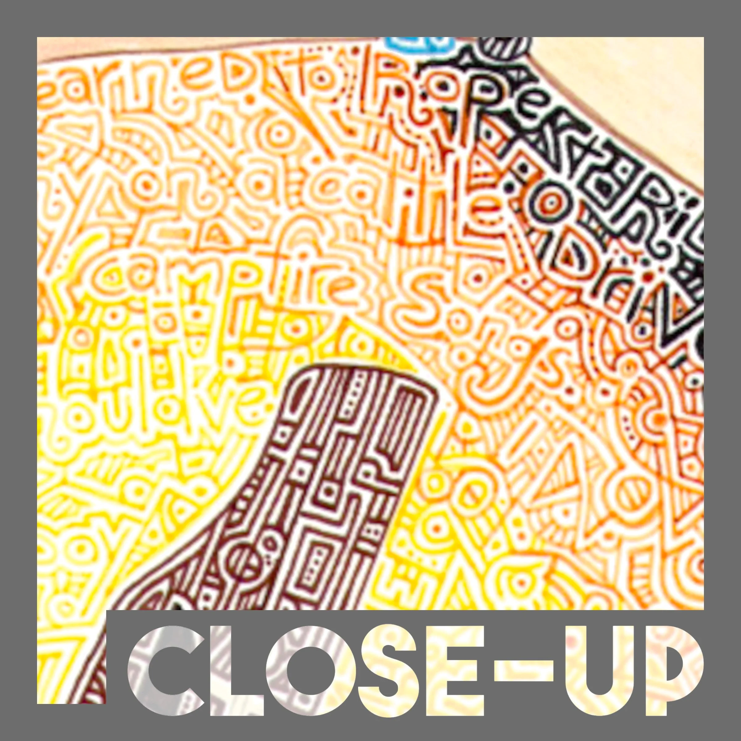 Toby Keith Detail 3.jpg