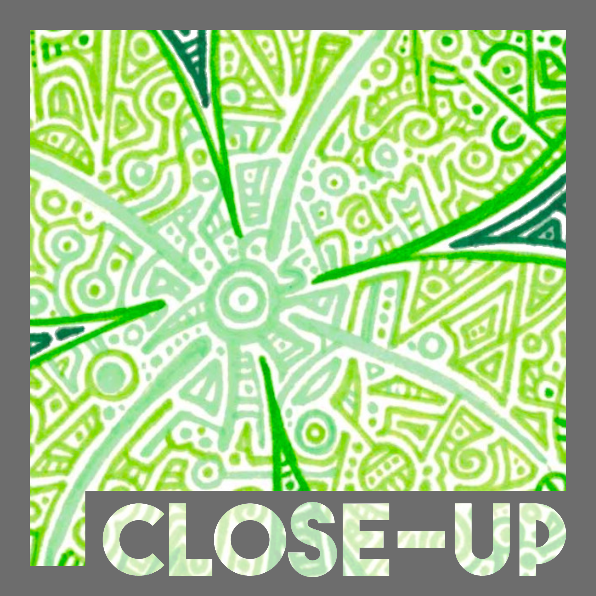 St Patricks CU 1.png