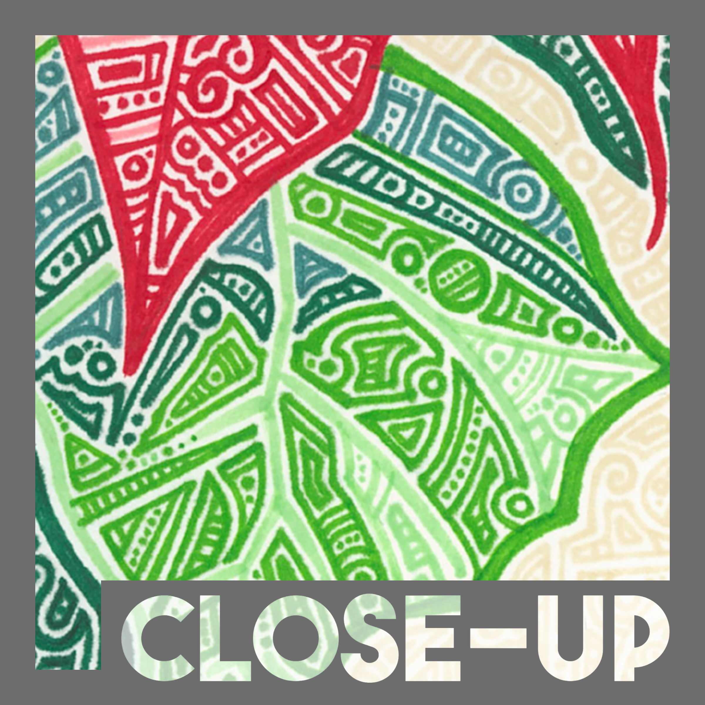 Poinsettias CU 1.png