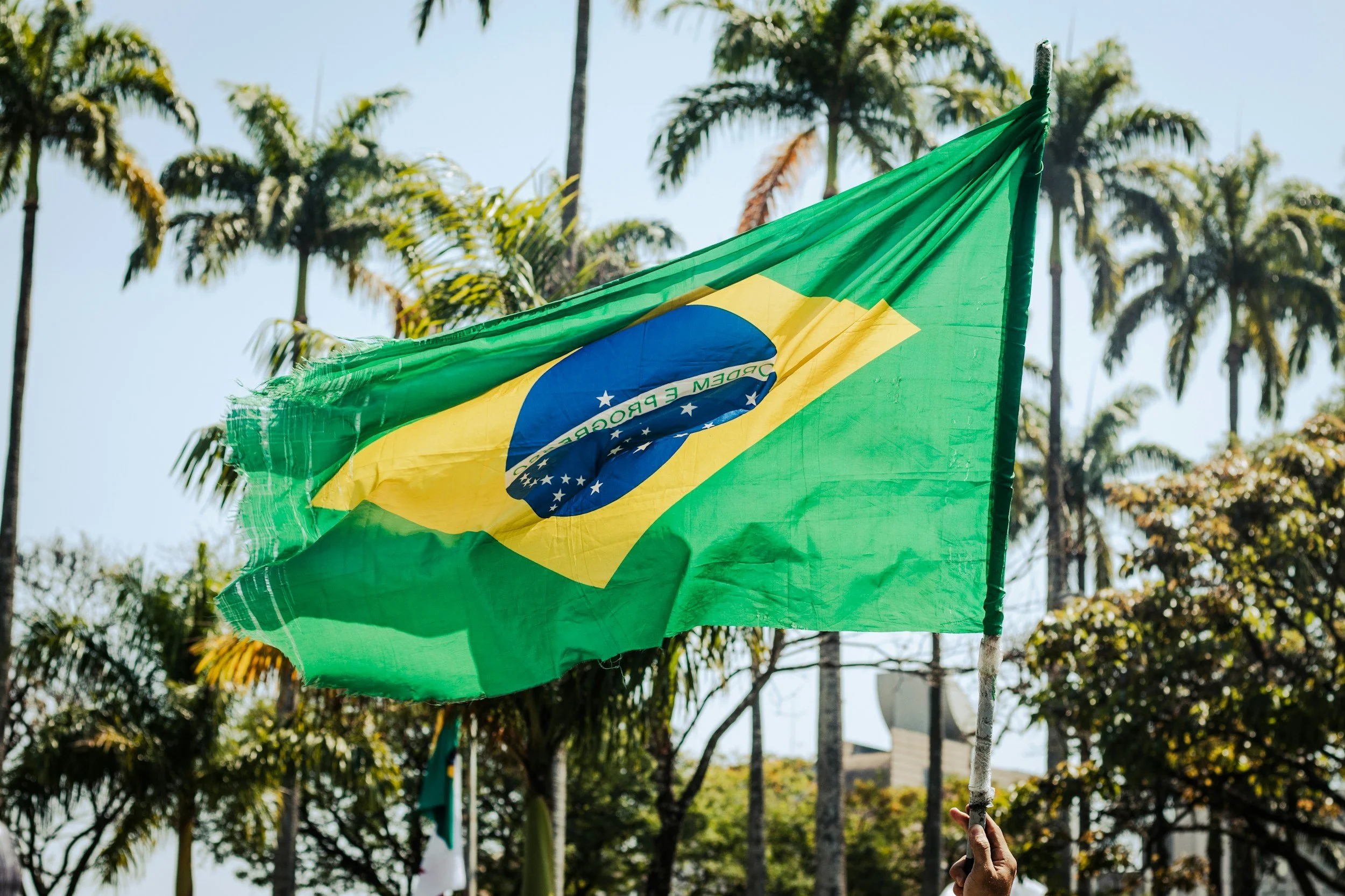 Section 301 25% - BRAZIL