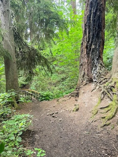 September Grief Walk