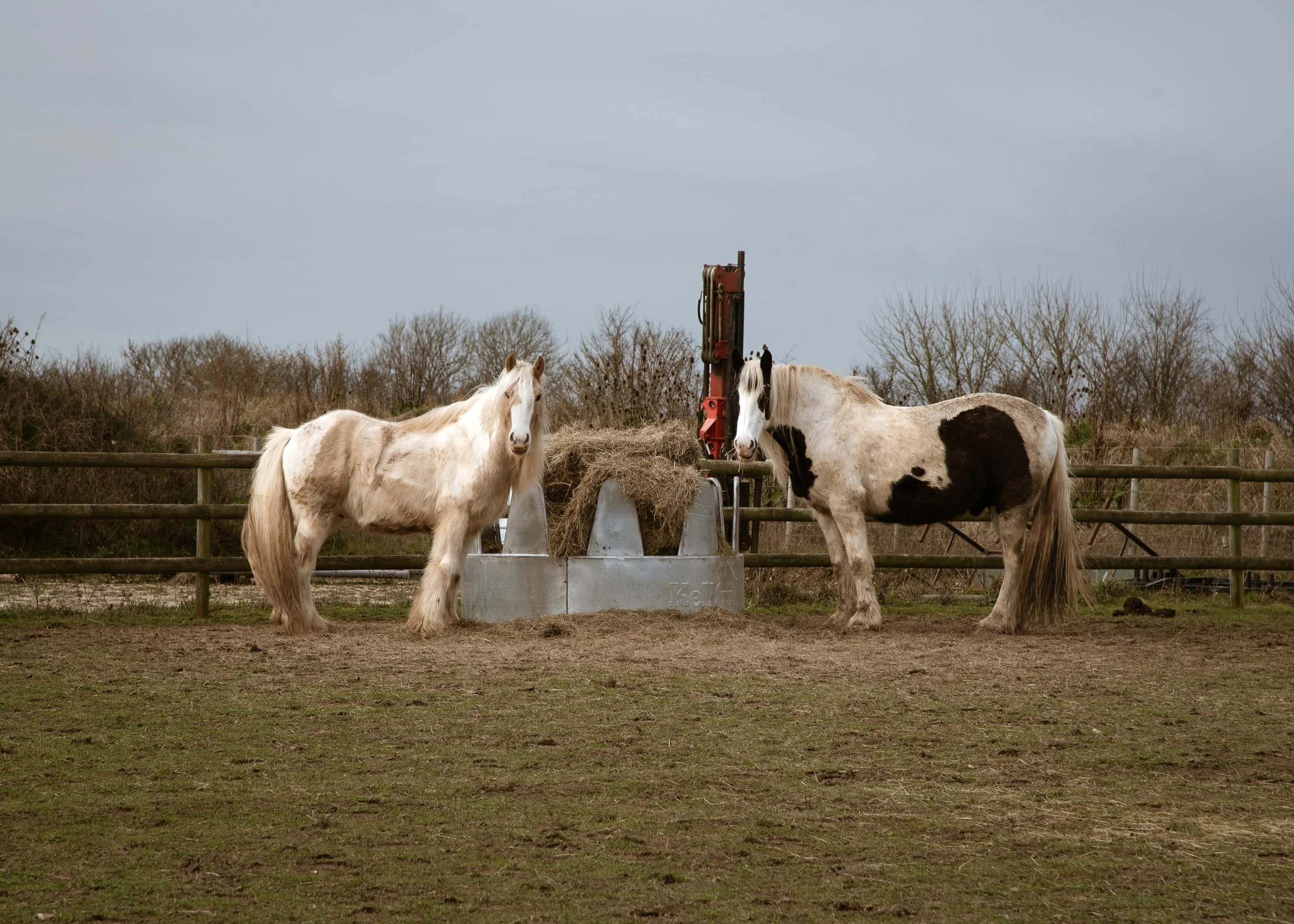 Ash Farm Dorset-7243.jpg