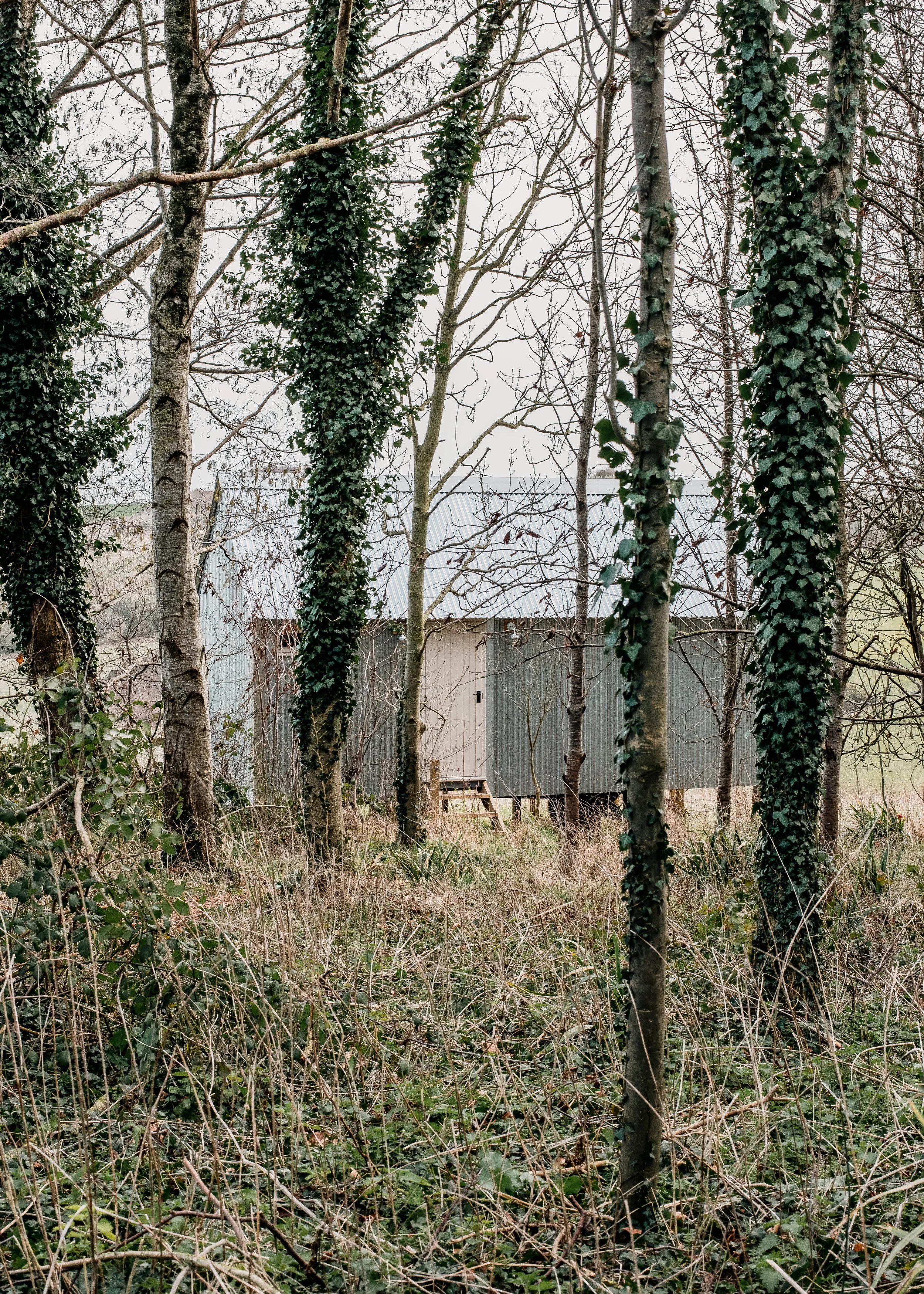 Ash Farm Dorset-7591.jpg