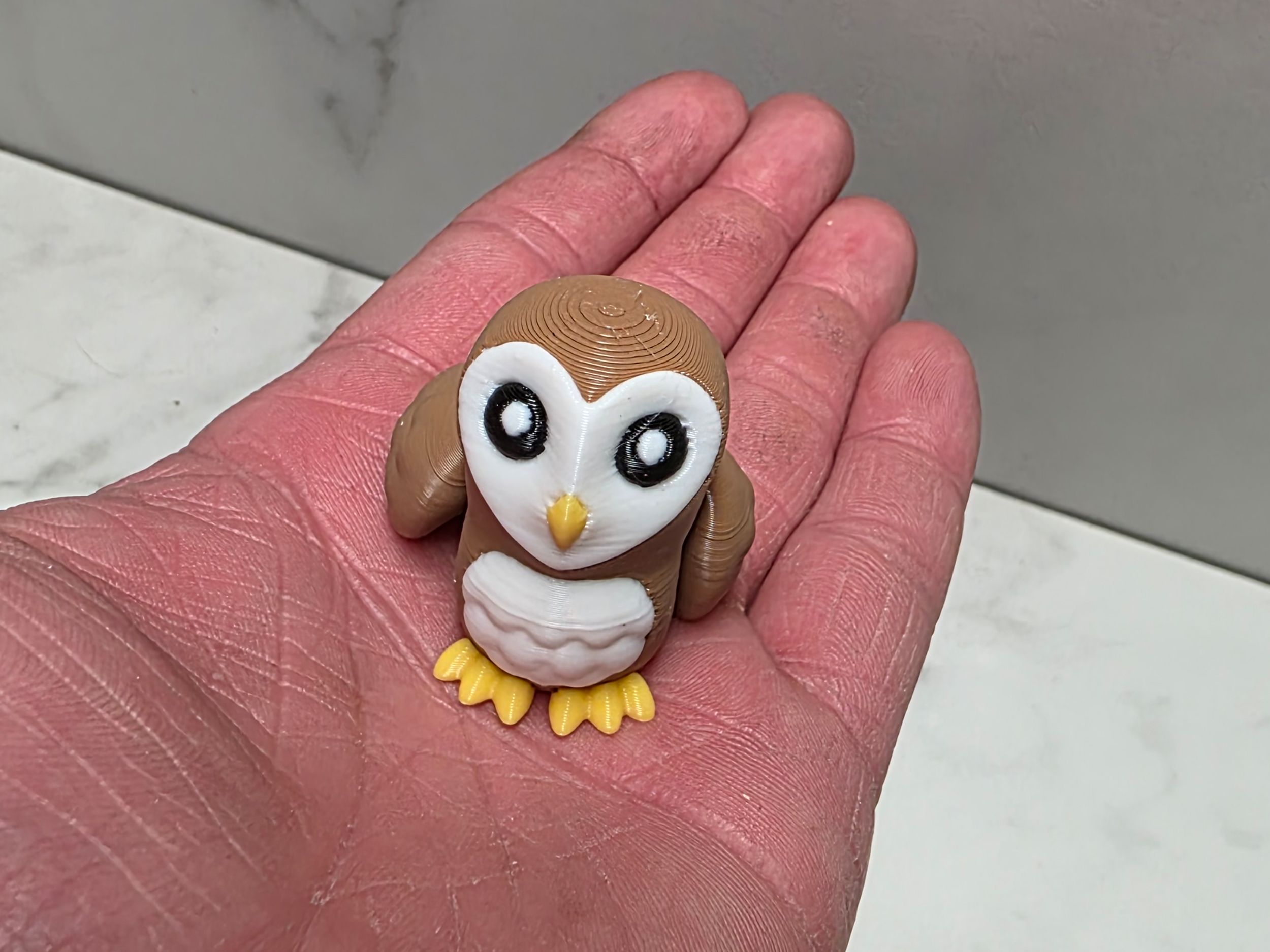 Snap Print Barn Owl 3.png