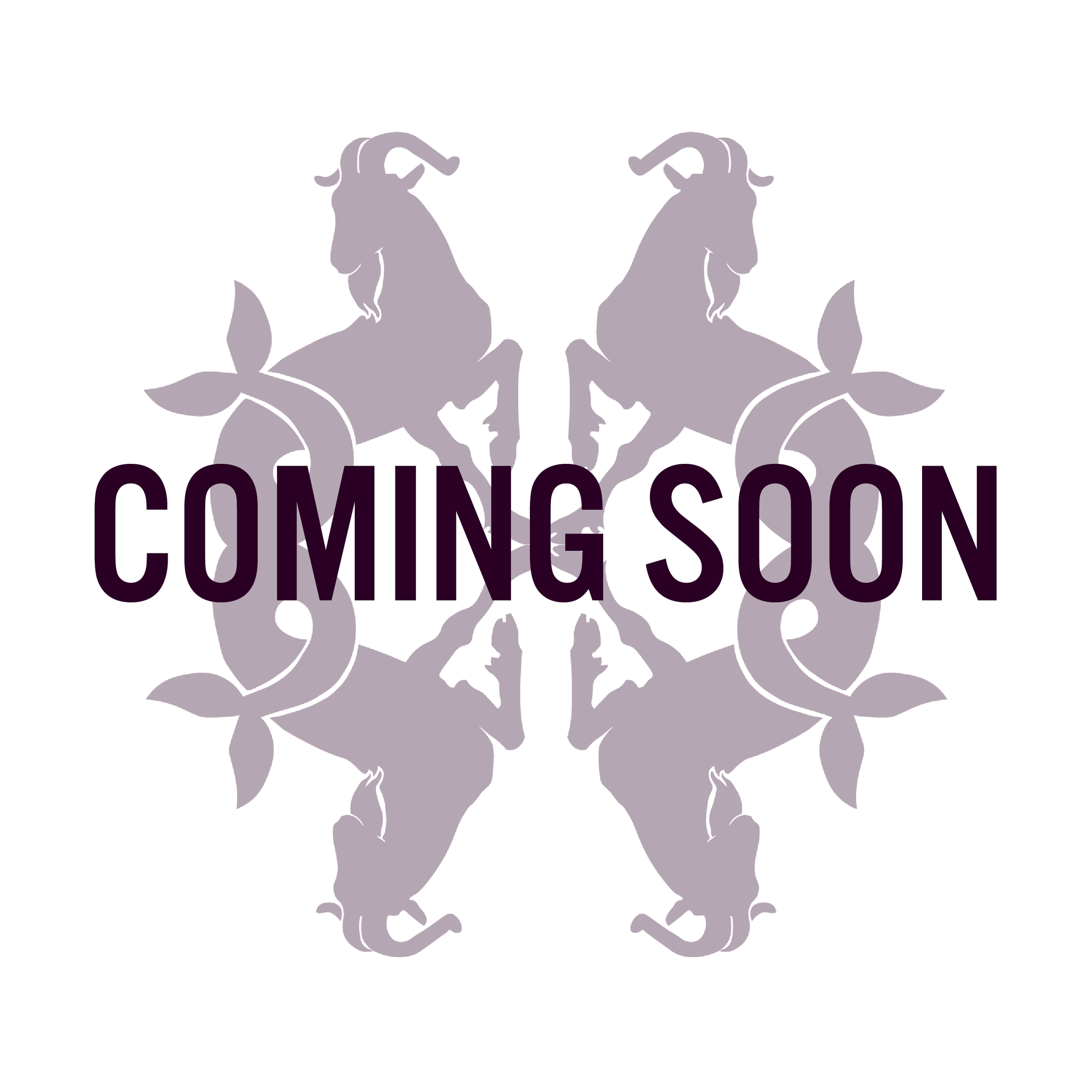 coming soon -02.png