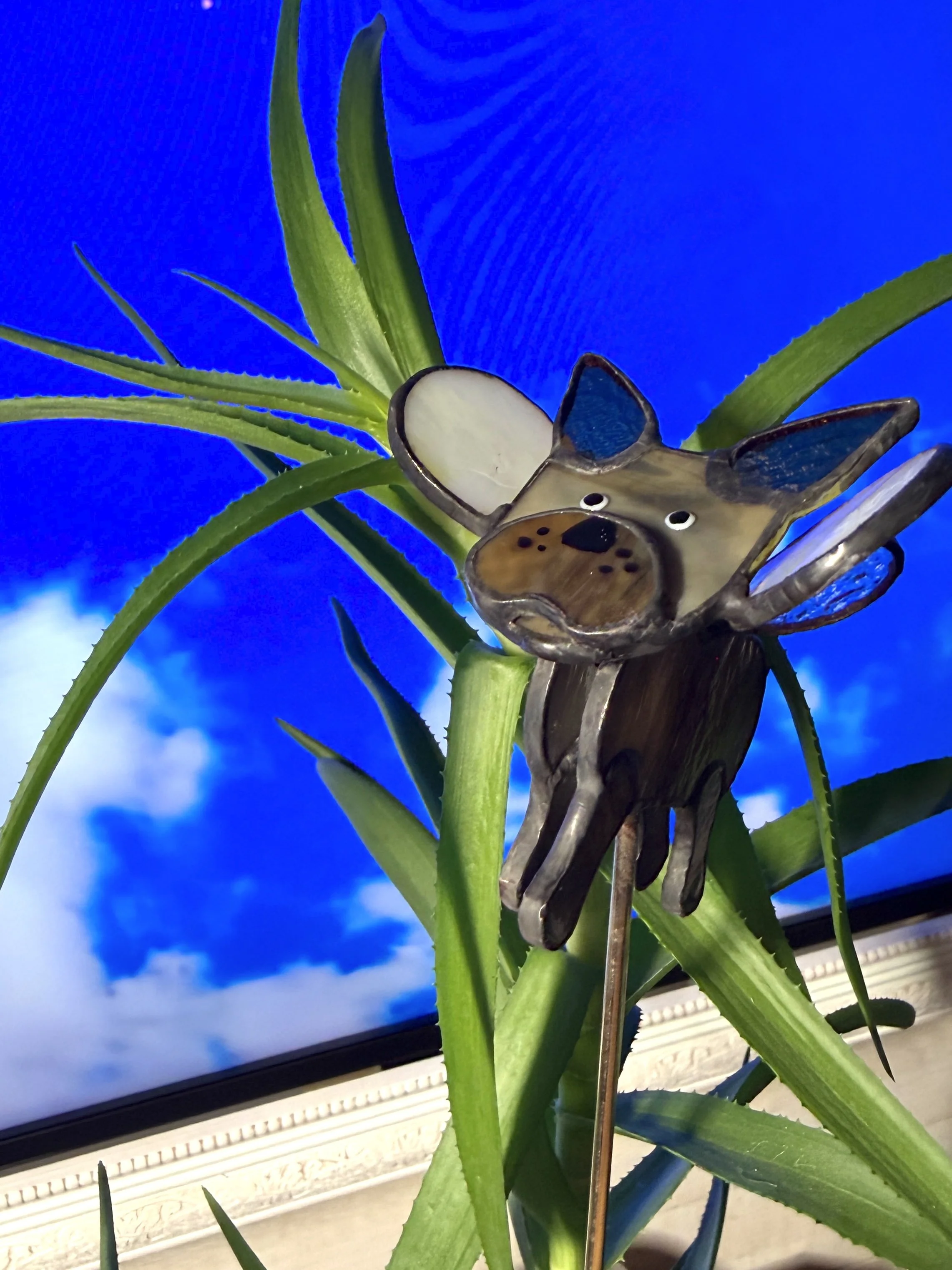 PlantPet — Frenchie