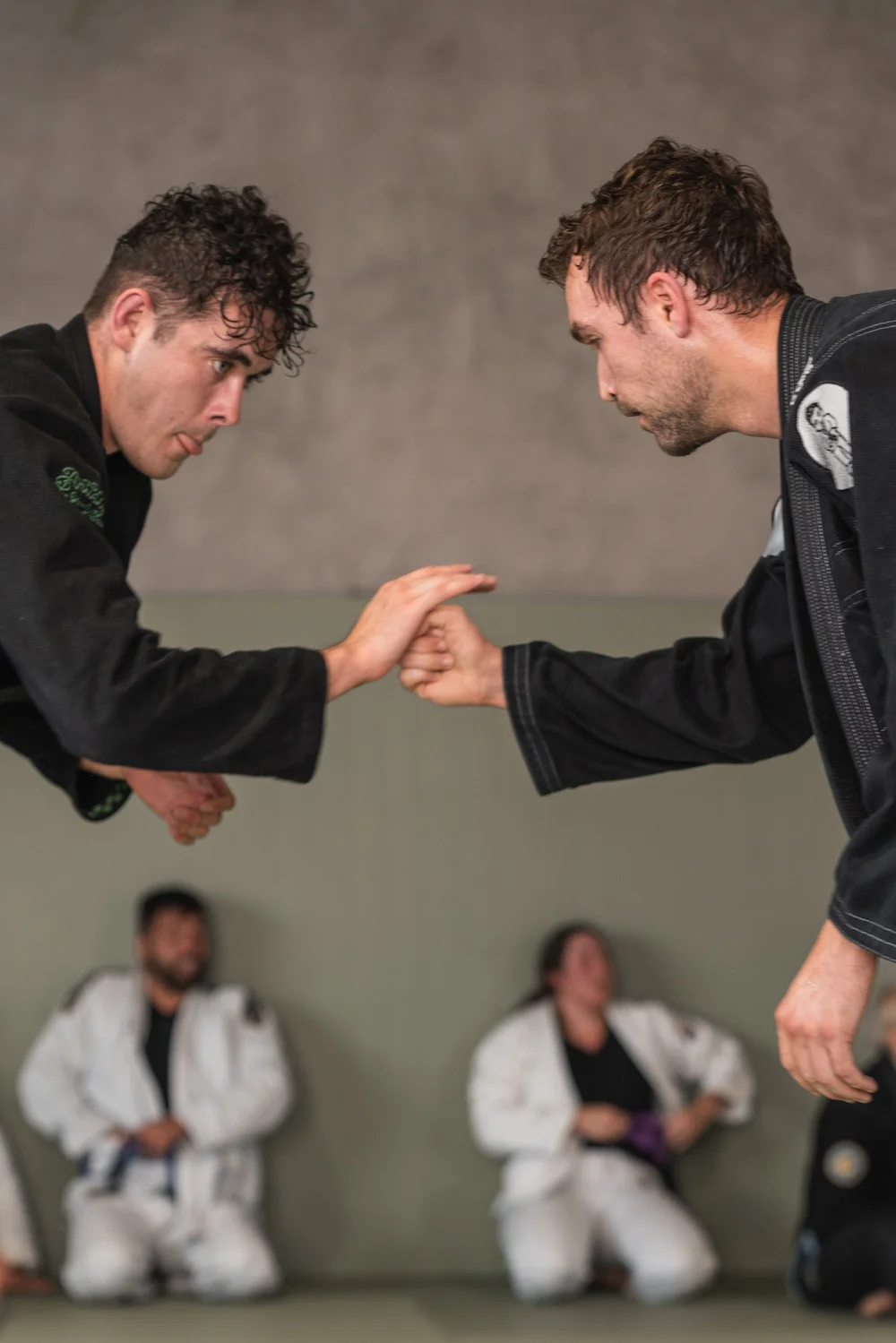 Adult Jiu Jitsu Classes Nashville, TN — Artista Brazilian JiuJitsu