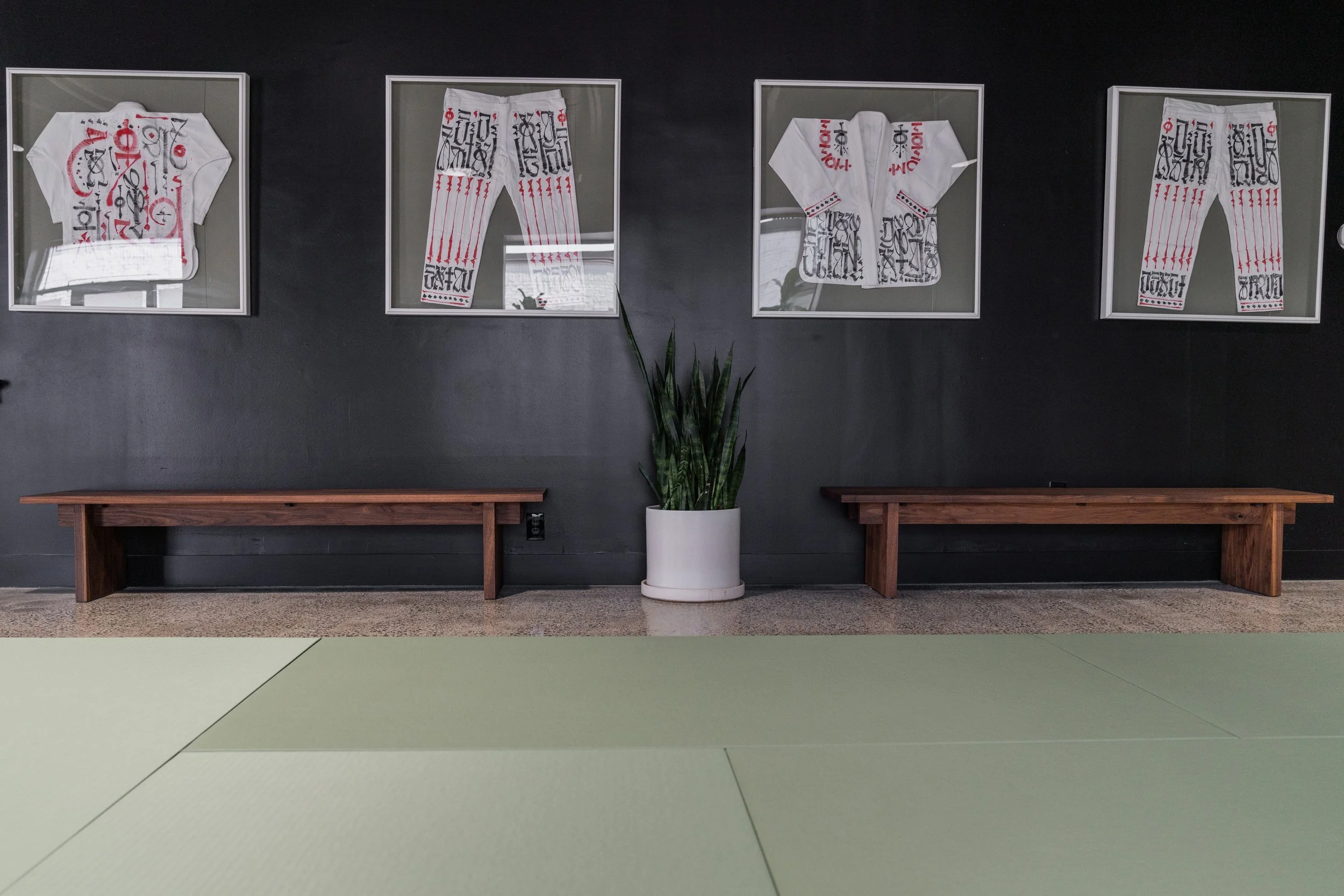 Artista Brazilian JiuJitsu Martial Arts Green Hills, Nashville, TN