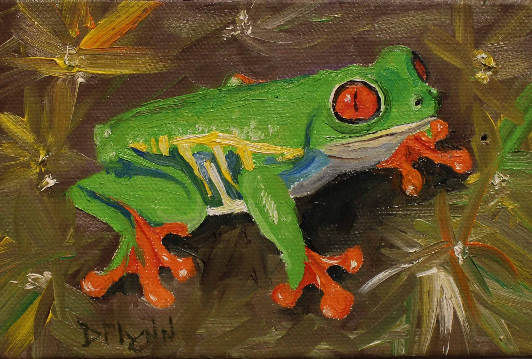 Red Eyed Green Tree Frog - Debbie Flynn, 4x4, $50