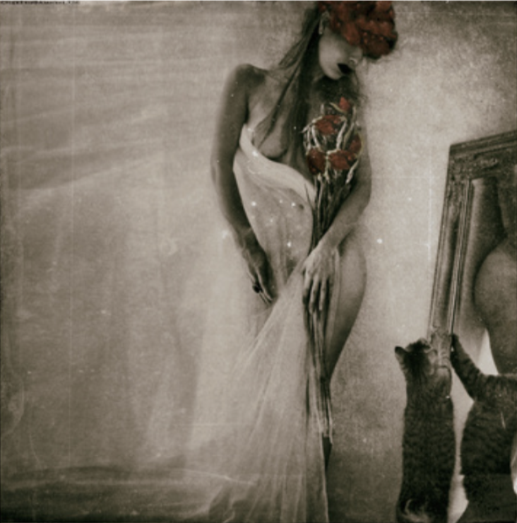 "I Stood Naked At Front of a Great Mirror" - $475