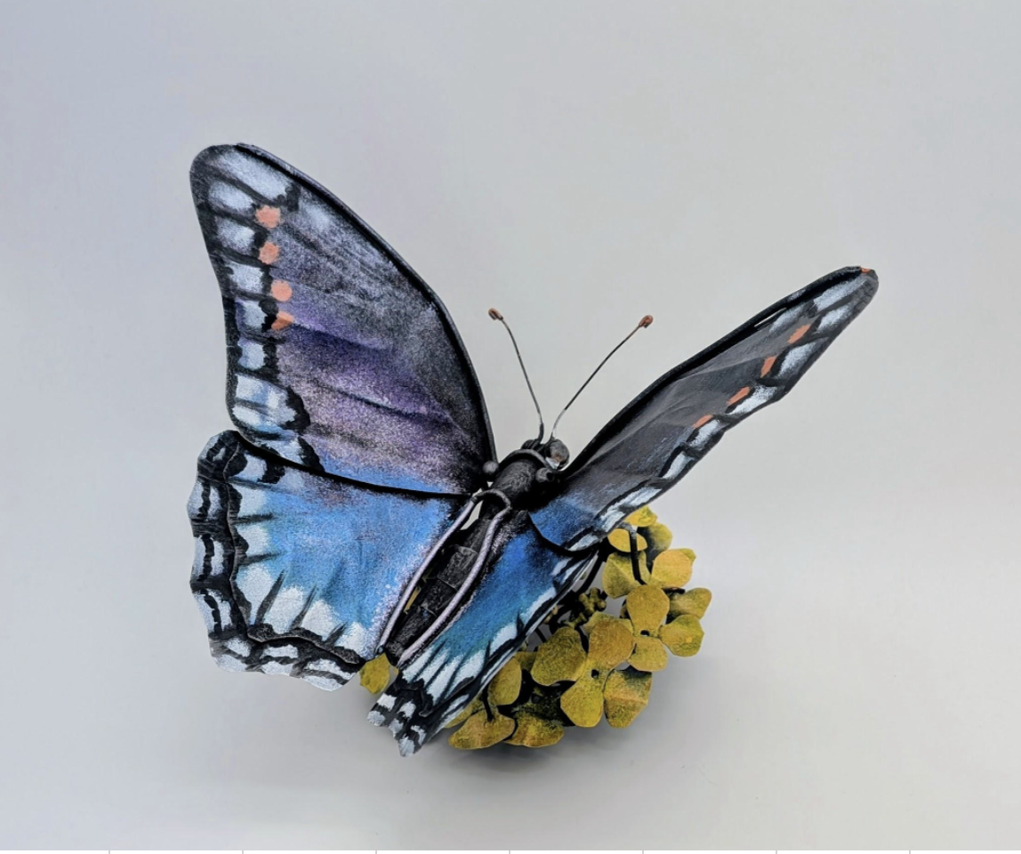 Spotted - Joshua Cook, $450