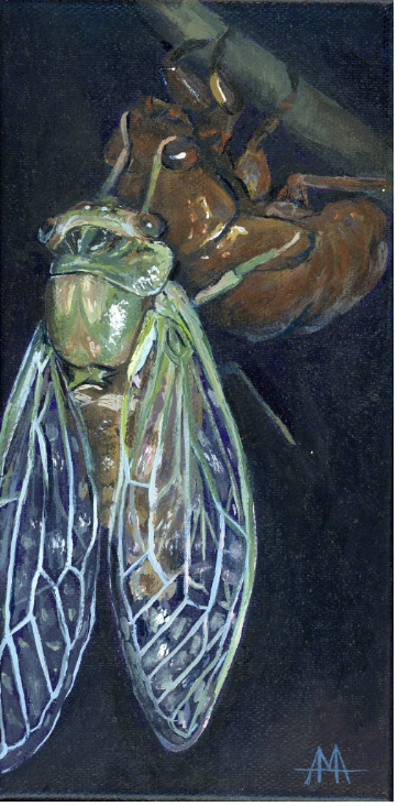 Emerge - Amber Andersen, $195