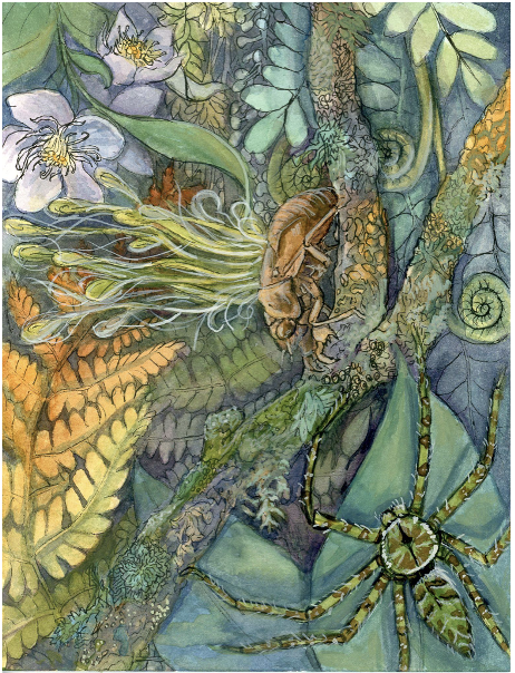 Cicada, Cordyceps and Lichen Huntsman - Amber Andersen, $375