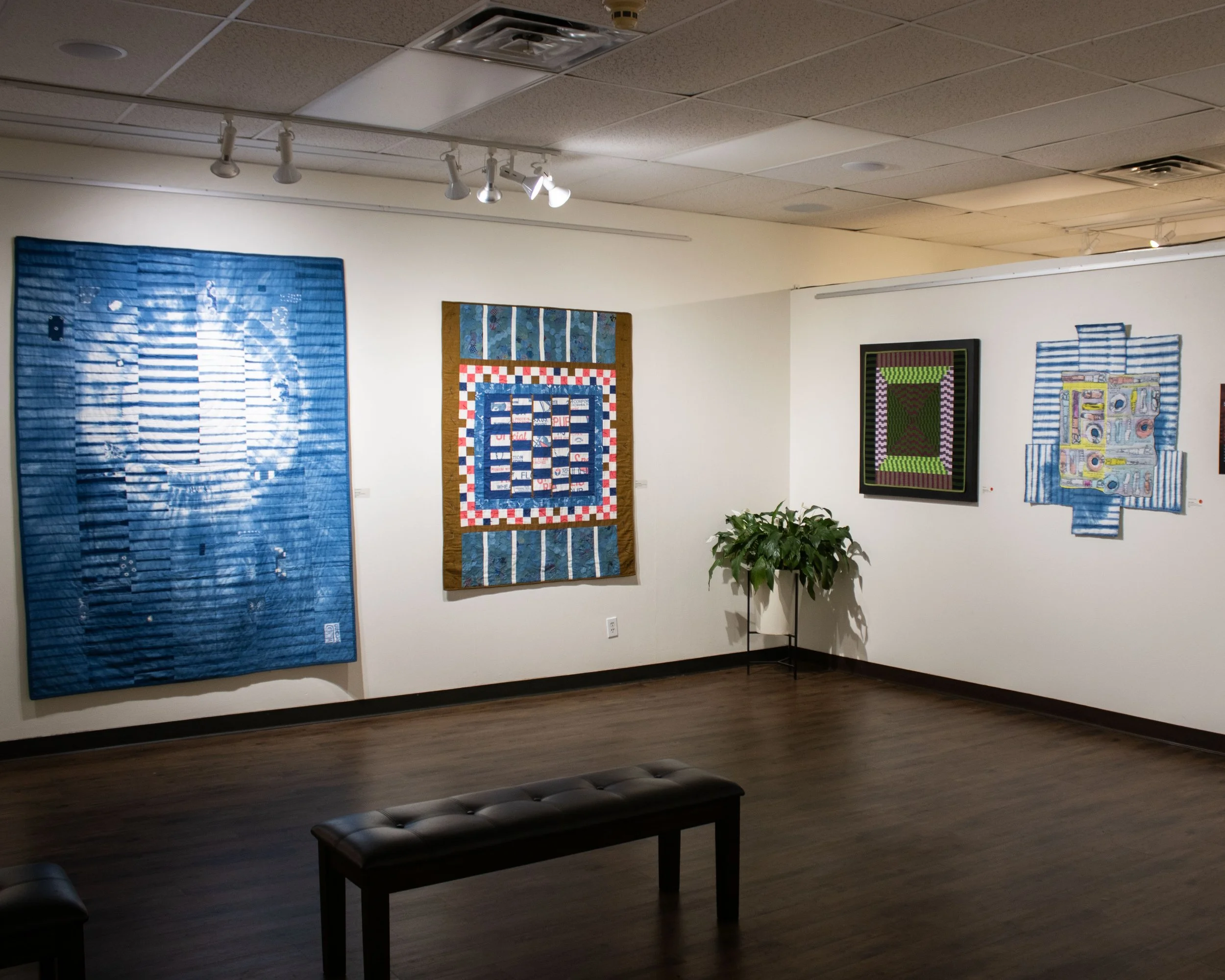 Symbiotic Stripes, Paseo PhotoFest, and Rhythm of Patterns