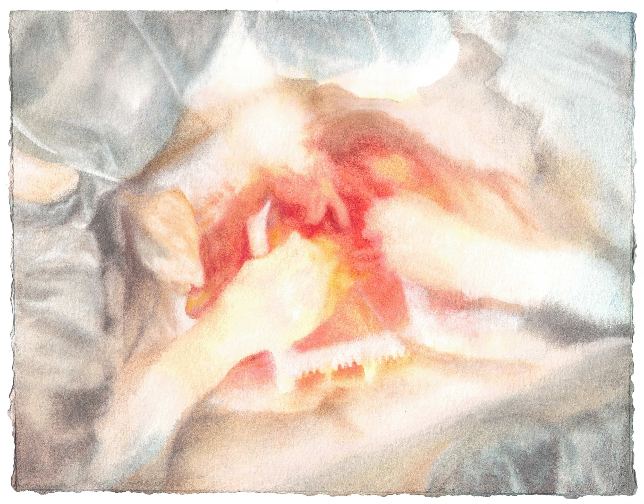 Open Heart - Julia Hale, 16x13, $300