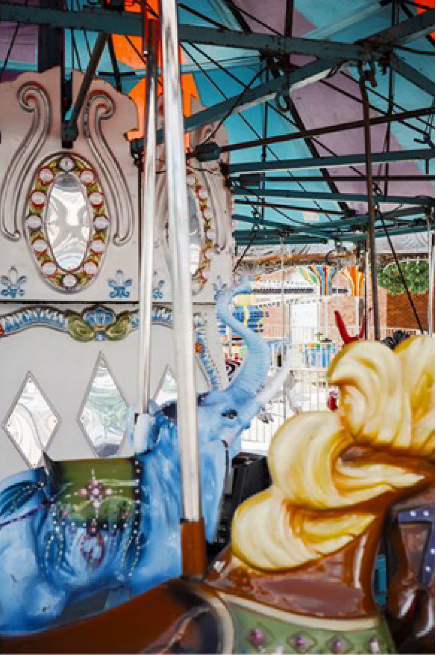carnival found no. 6 - SJ Barrymore, $46