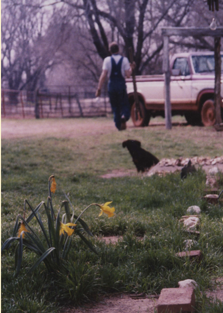 The Flowers I Planted You (April 1995) - Joi Bachiochi, 12x14, $165