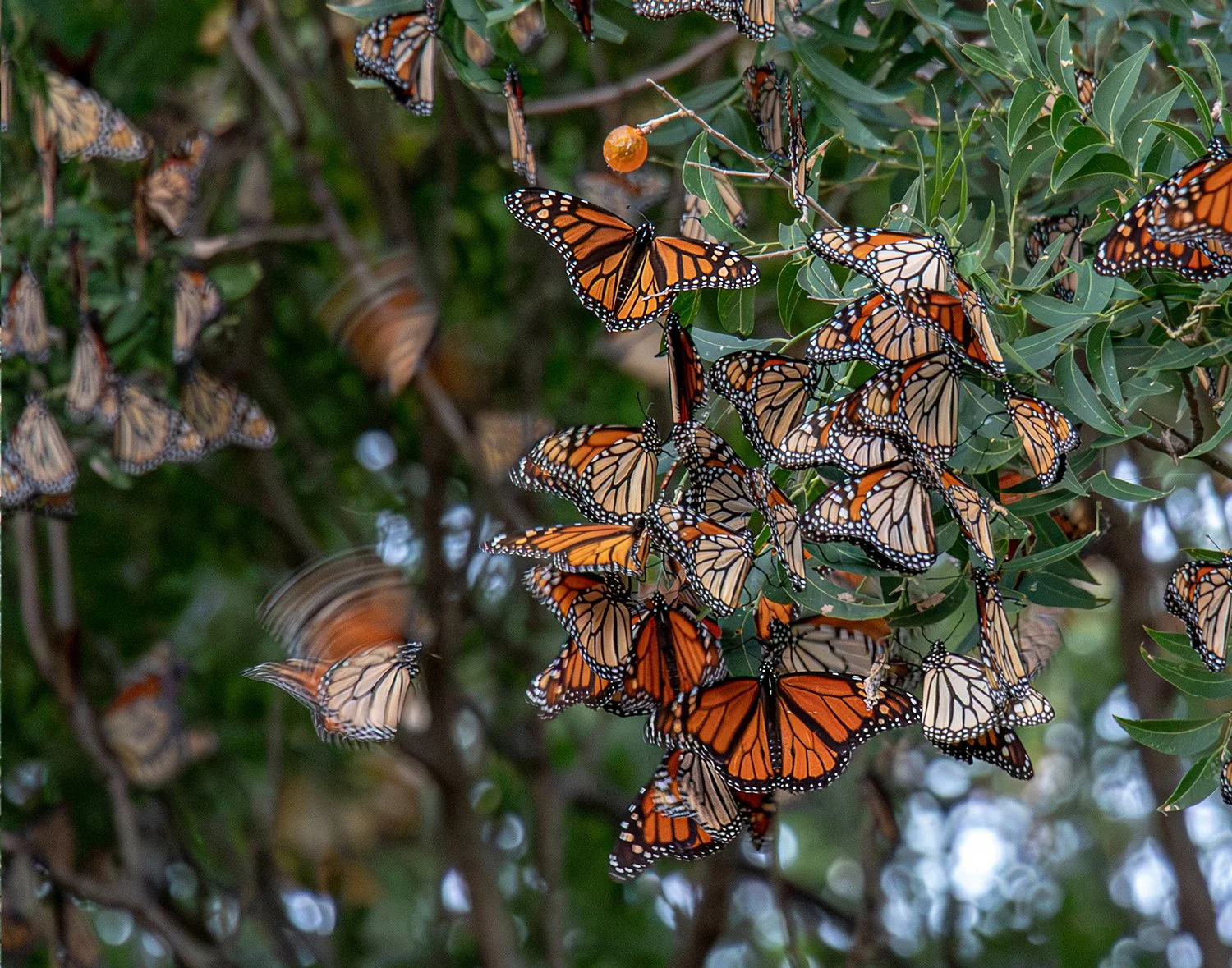 One Sixtieth of a Second Along the Journey - Bryan Dahlvang, 14x11, $95