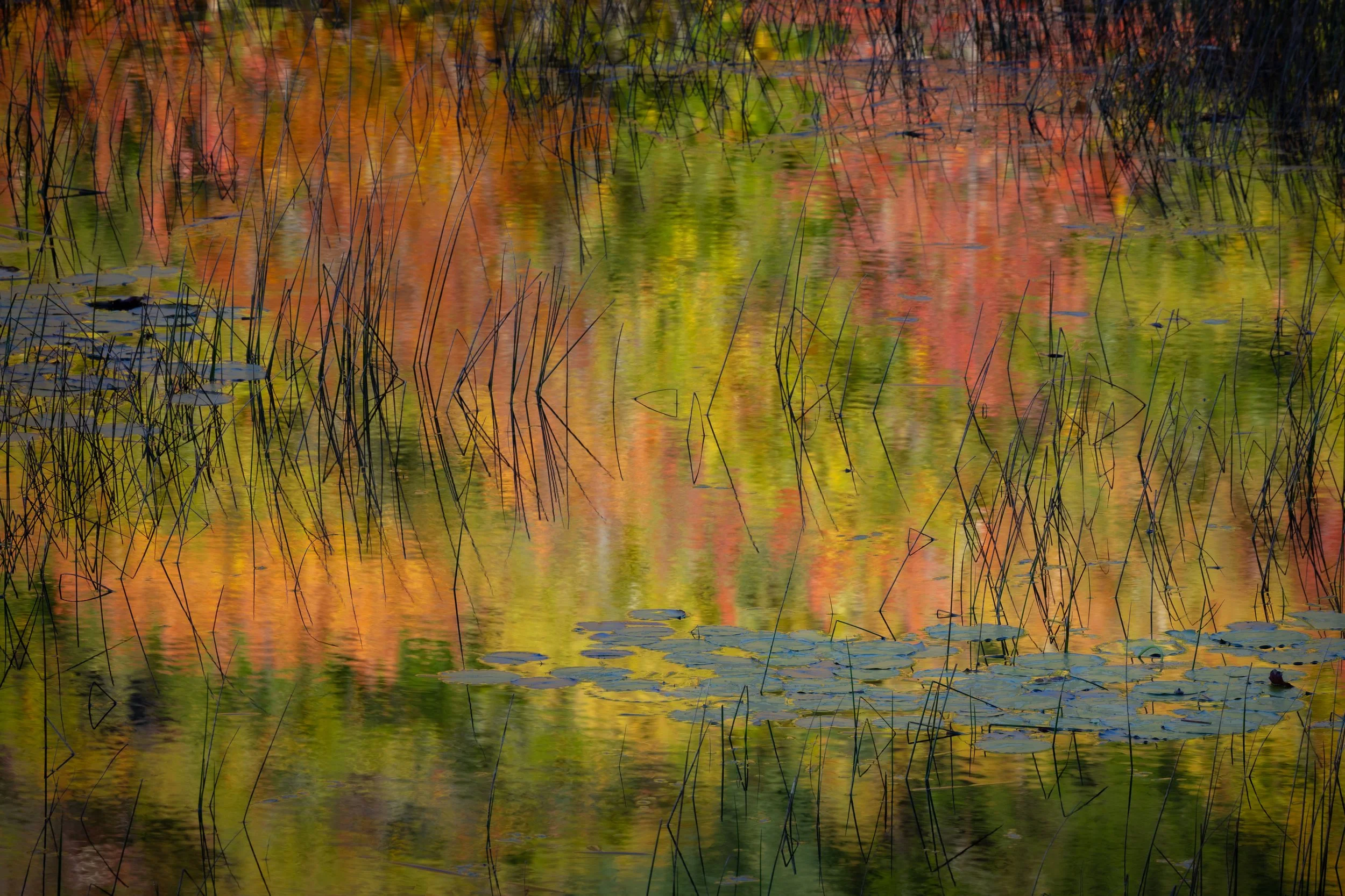 "Arcadia Reflections" - Sheryl McLain, Digital photograph printed on aluminum, 16" x 24", $400