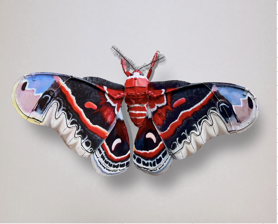 Hungry For Love - Joshua Cook + Amber Andersen, $5,000