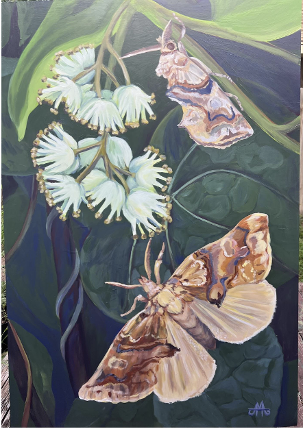 Moonsed Visitor - Amber Andersen, $3,000