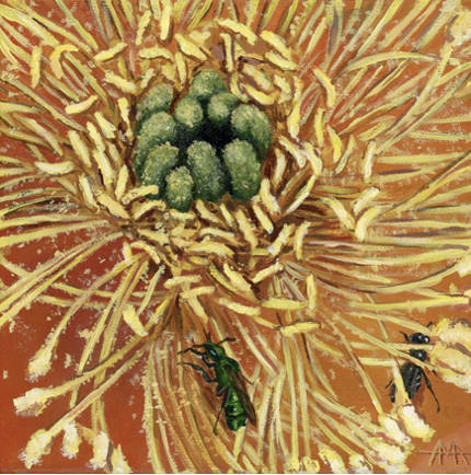 Prickly Pear Pollinators - Amber Andersen, $195