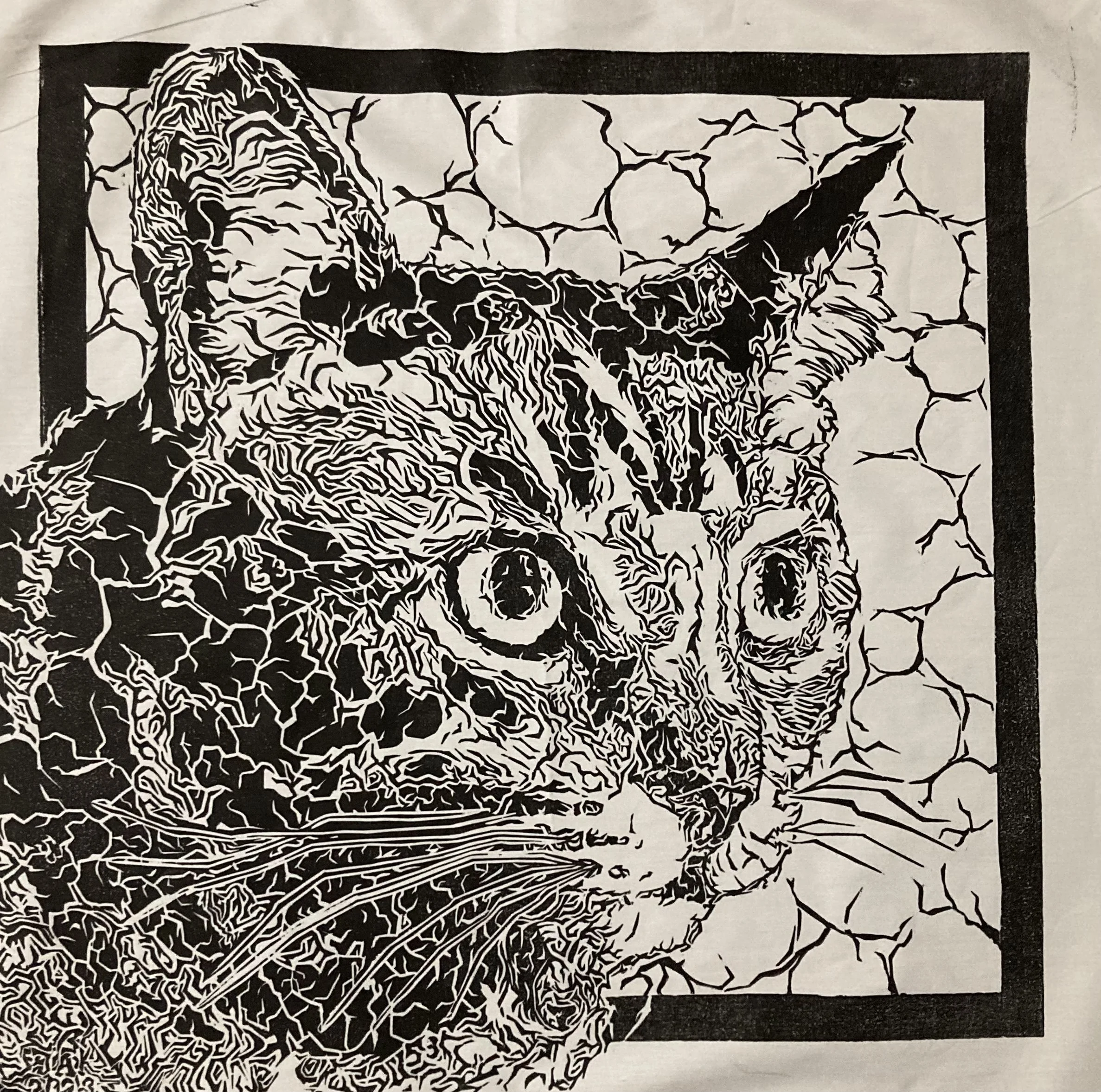 Cat of Thorns - Jacob Kriech, 25x25", $500