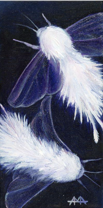 Irresistible Ballet - Amber Andersen, $195