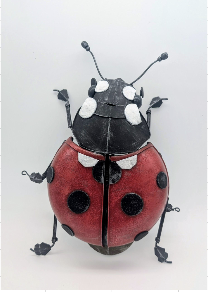 Little Lady - Joshua Cook, $450
