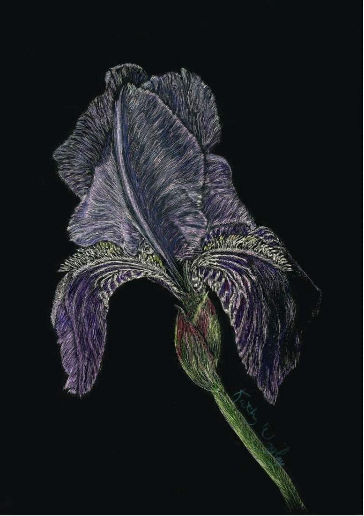 Garden Purple, 5x7, $175 (handmade walnut and oak frame)