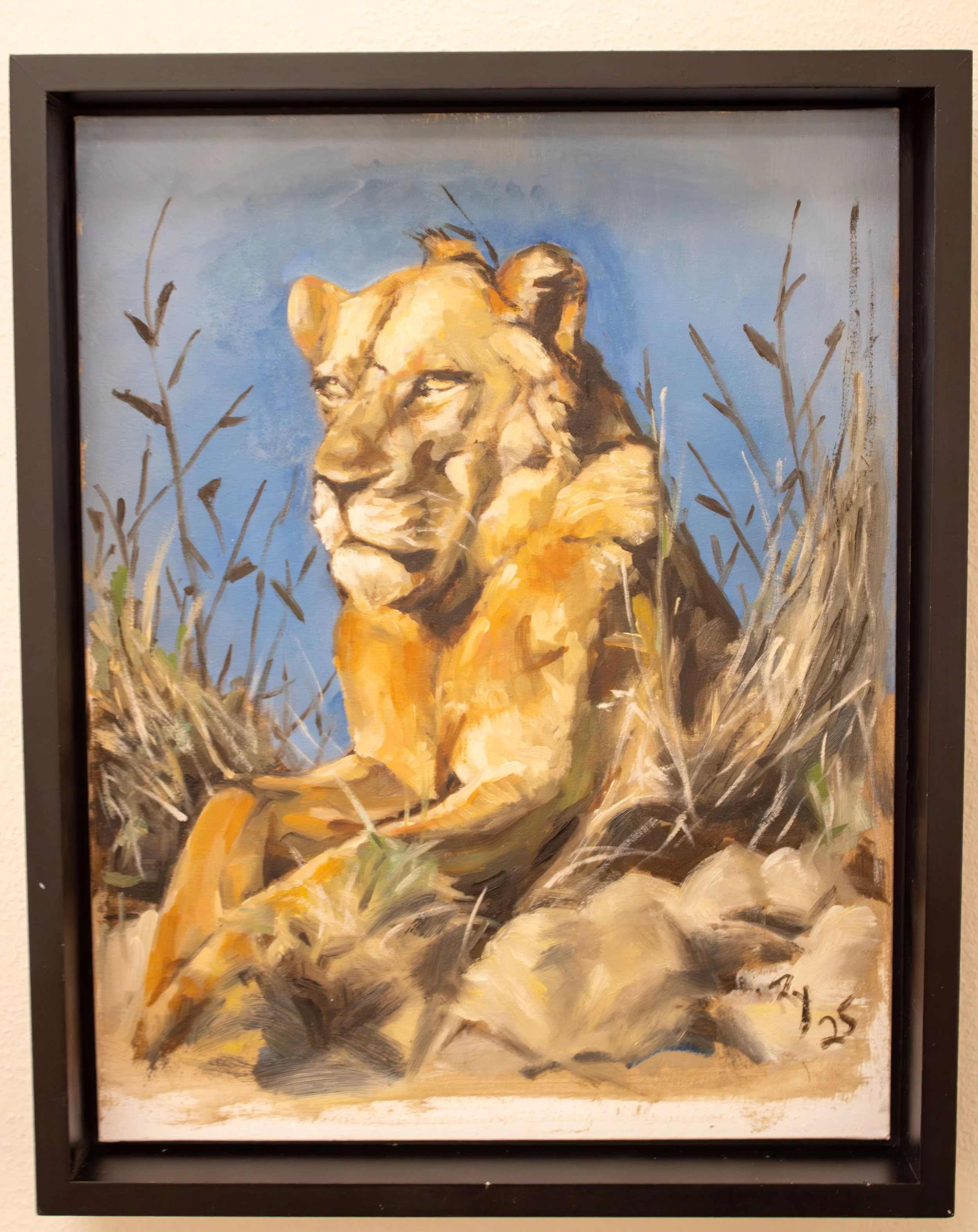 The Lion - Rico Young, $175