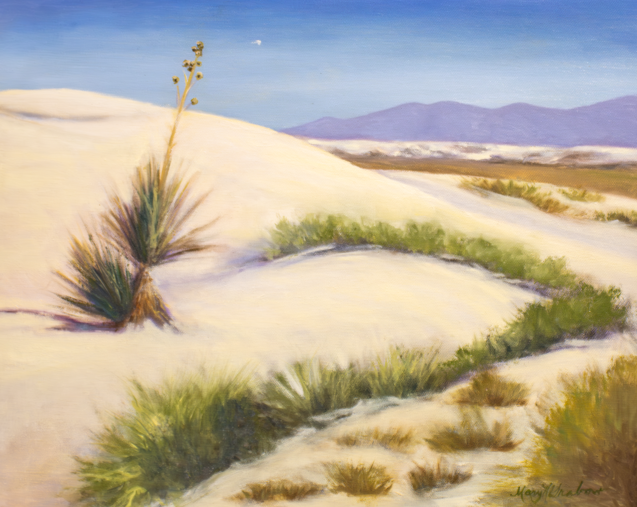 The Coyote Fence at Taos, NM - Mary Grabow, oil on canvas, $420