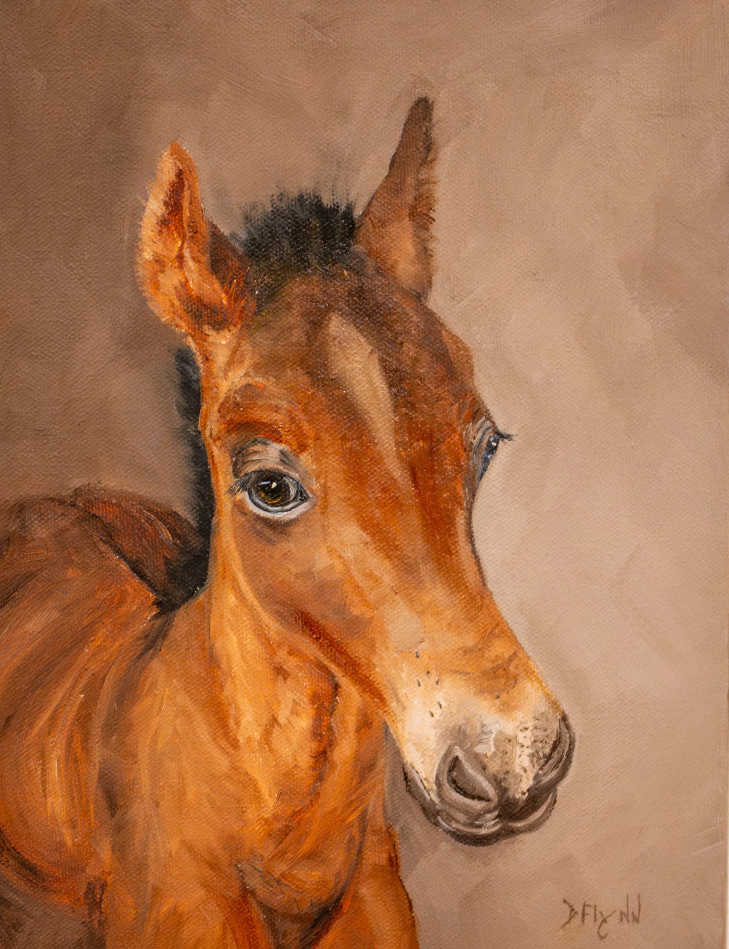 The Wild Foal - $195