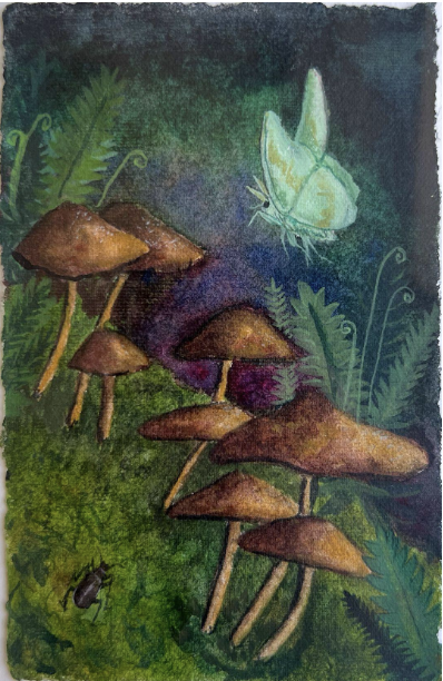 Twilight Dance - Amber Andersen, $225