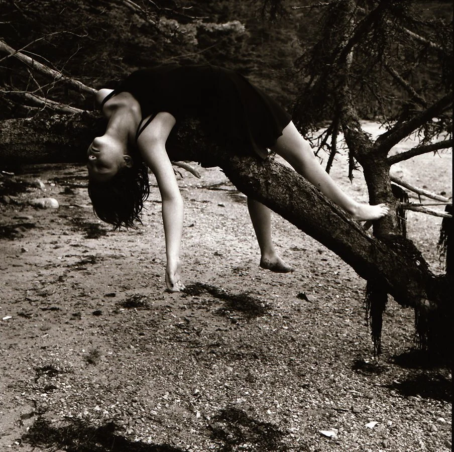 "Rockweed No. 3" - Amy Rockett-Todd, Archival photographic print, 20" x 20", $850