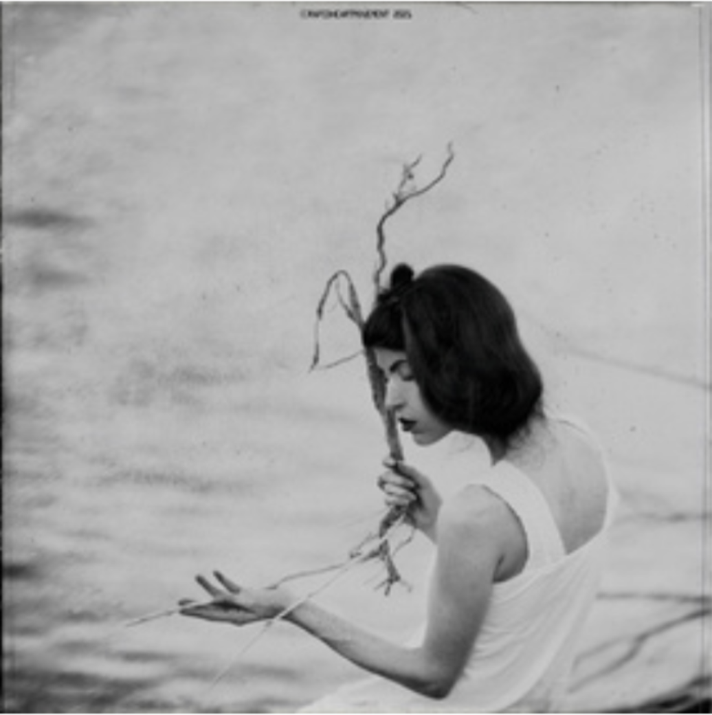 "The Silence of Root" - $3,400