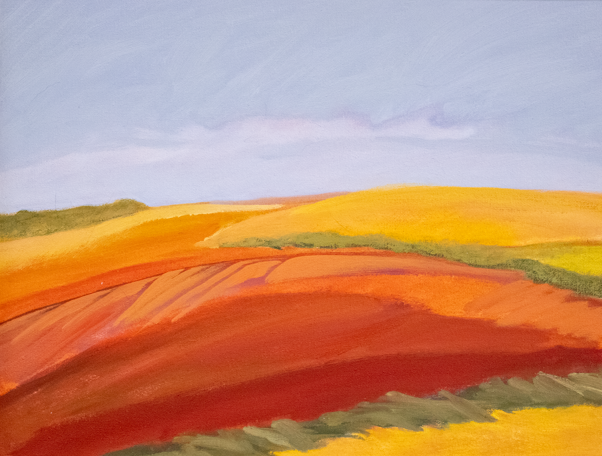 "Sloping Field" - $380
