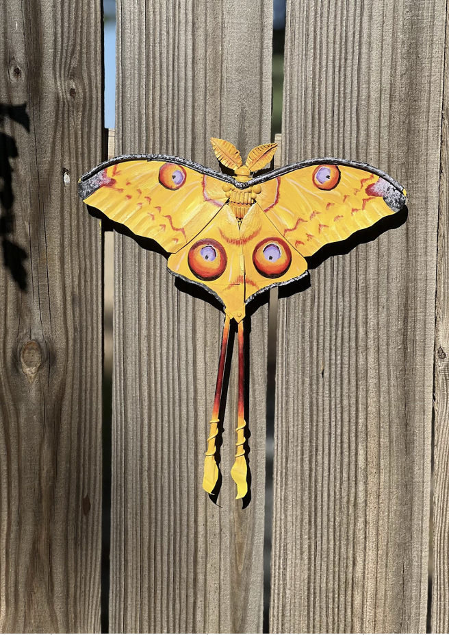 Yeller Feller - Joshua Cook + Amber Andersen, $600