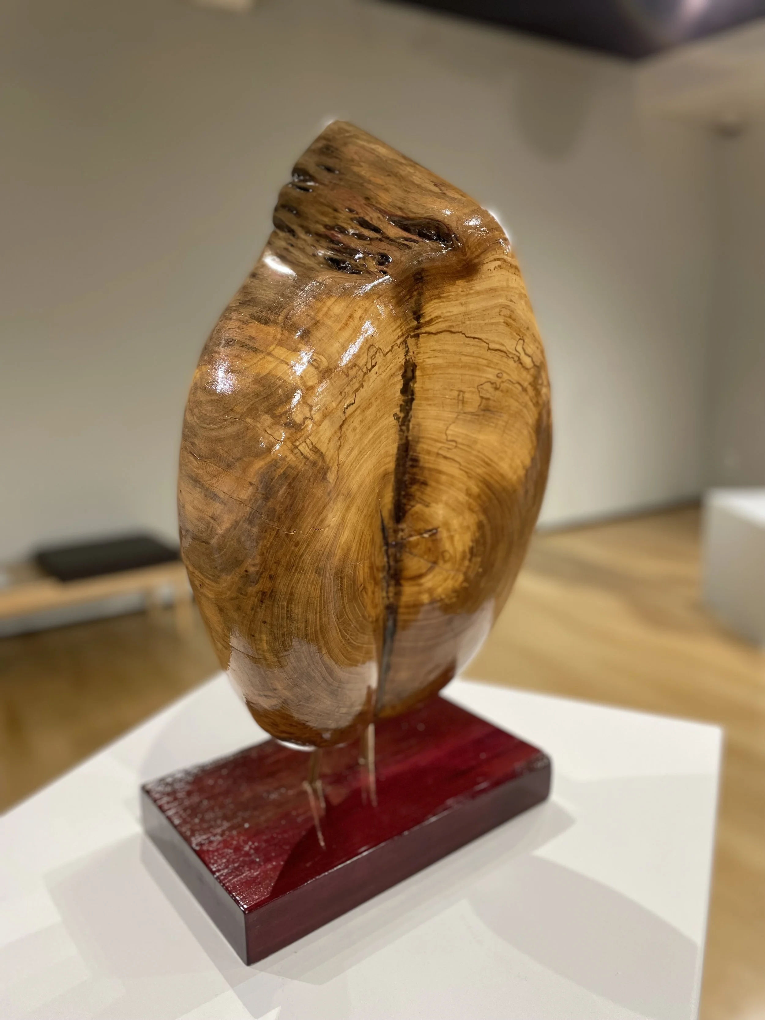 La Semilla (The Seed) - Valerie Manriquez, 25x13x8, $1,400