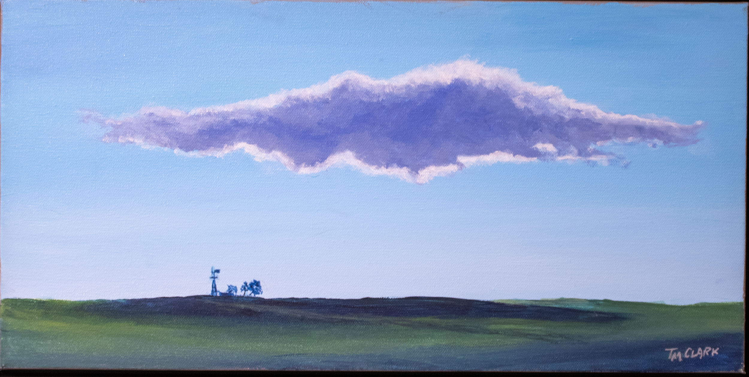 Silver Lining - Terry Clark, acrylic, $325